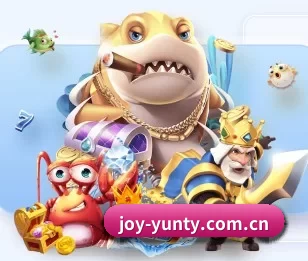 joy-yunty.com.cn的故事