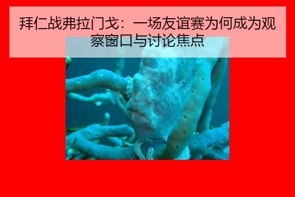 bai-ren-zhan-fu-la-men-ge-yi-chang-you-yi-sai-wei-he-cheng-wei-guan-cha-chuang-kou-yu-tao-lun-jiao-dian-2-262.jpg